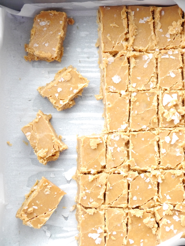 Fudge salted caramel discount